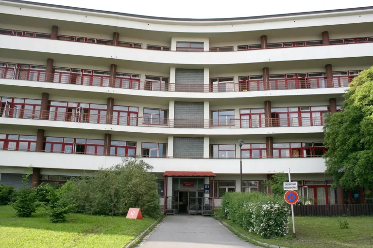 Pavilony B1 a B2 Dětské nemocnice v Brně při pohledu z areálu, archivní snímek z roku 2010