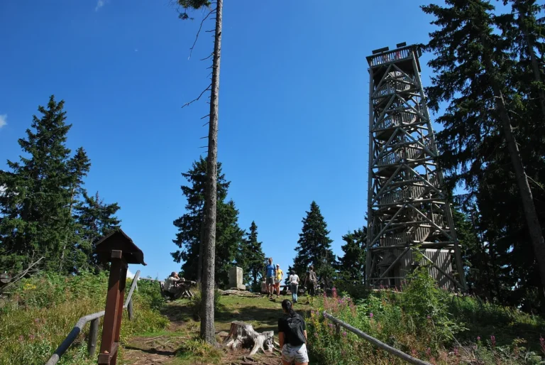 Dřevěná rozhledna na vrcholu Boubína mezi smrky, v popředí turistická cesta a rozcestník