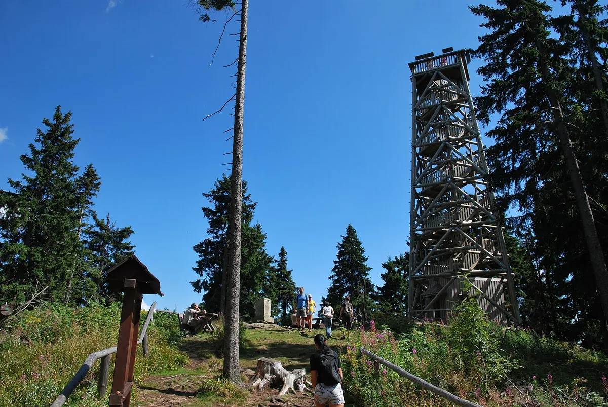 Dřevěná rozhledna na vrcholu Boubína mezi smrky, v popředí turistická cesta a rozcestník