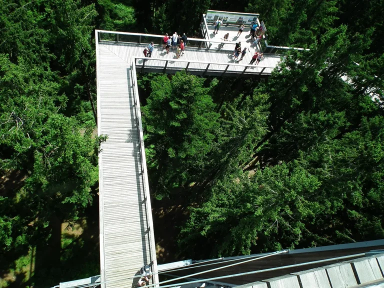Dřevěná lávka Stezky korunami stromů Lipno s návštěvníky vedoucí mezi smrky, pohled z vyhlídkové věže