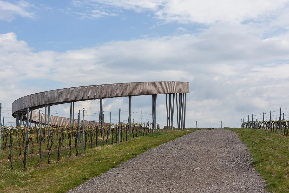 Kruhová dřevěná rampa Stezky nad vinohrady na Kobylím vrchu s příjezdovou cestou mezi vinicemi