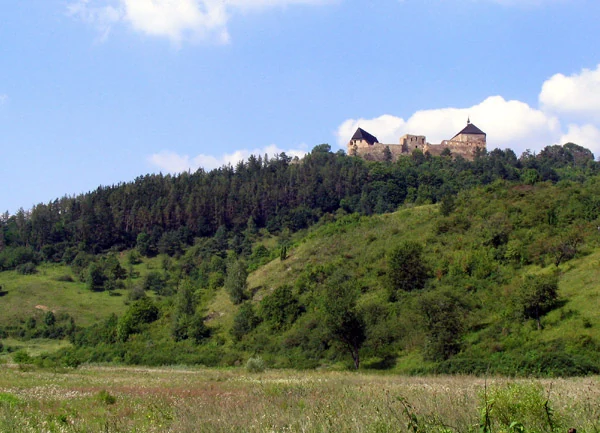 Hrad Točník na zalesněném návrší při pohledu z krajiny