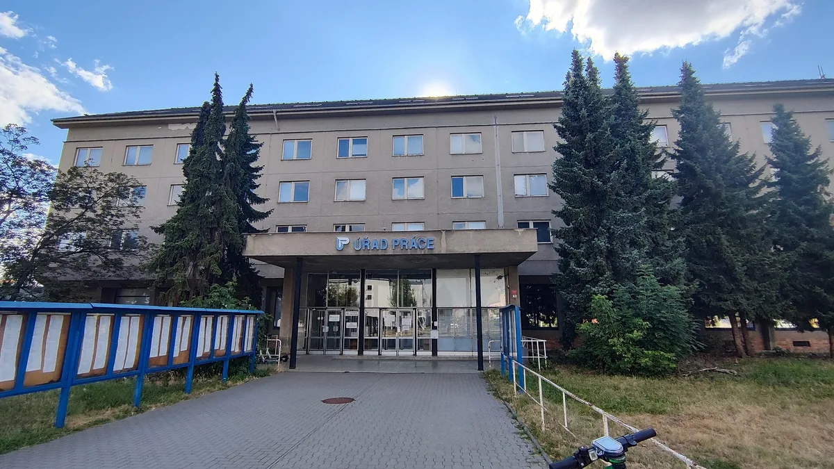 Vchod do budovy Úřadu práce v Olomouci s modrým nápisem nad vstupem, smrky po stranách a dlážděným chodníkem
