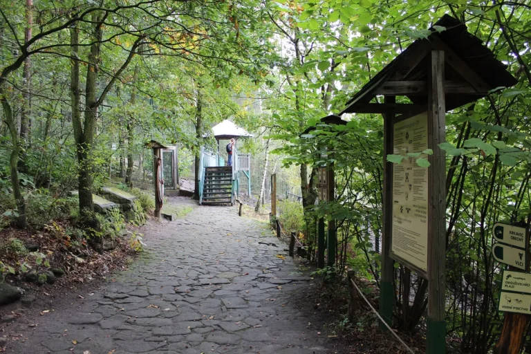 Dlážděná cesta mezi stromy v areálu Zoo Děčín na Pastýřské stěně