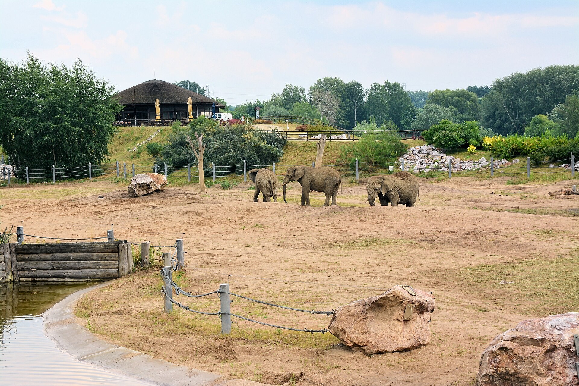 Sloni a jejich venkovní výběh v Nové zoo Poznaň