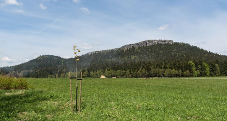 Pohled na stolovou horu Szczeliniec Wielki nad zelenou loukou