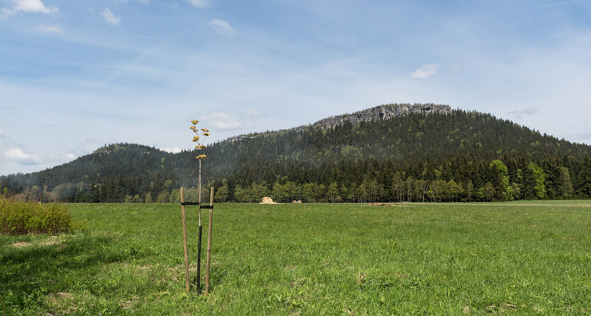 Pohled na stolovou horu Szczeliniec Wielki nad zelenou loukou