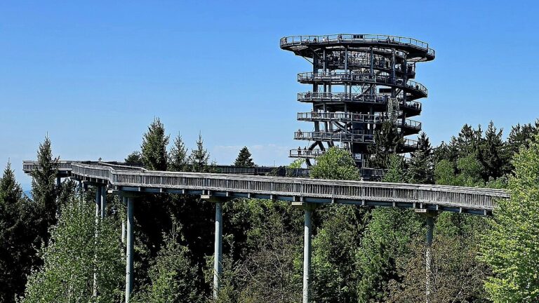 Dřevěná stezka nad loukou a lesem s vyhlídkovou věží Waldwipfelweg
