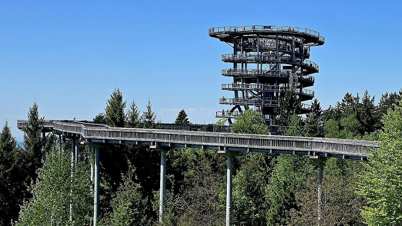 Dřevěná stezka nad loukou a lesem s vyhlídkovou věží Waldwipfelweg