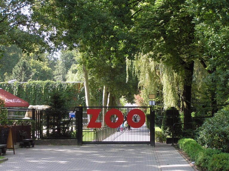 Brána s nápisem ZOO v lesním areálu krakovské zoologické zahrady