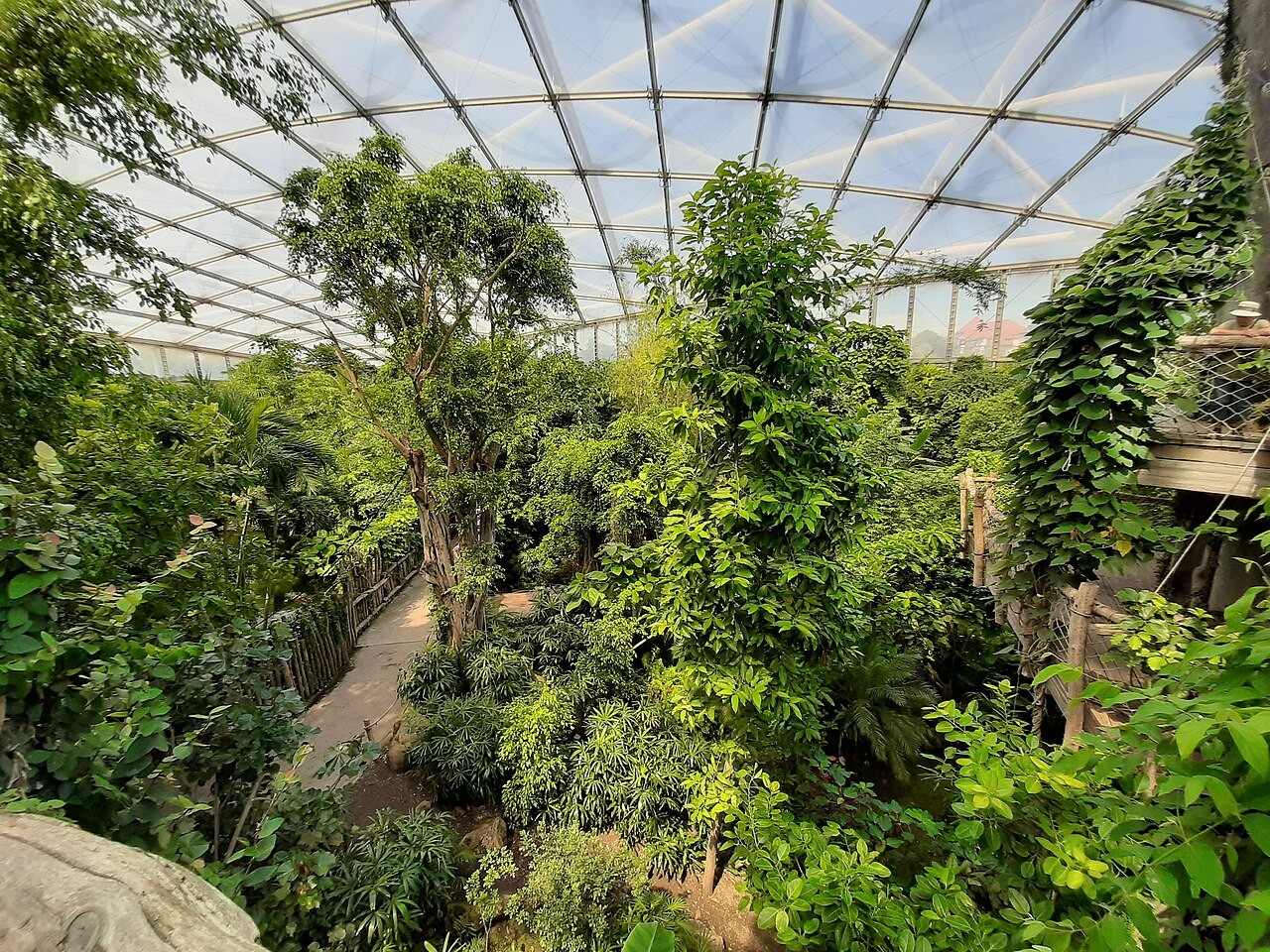 Tropická hala Gondwanaland v Zoo Lipsko